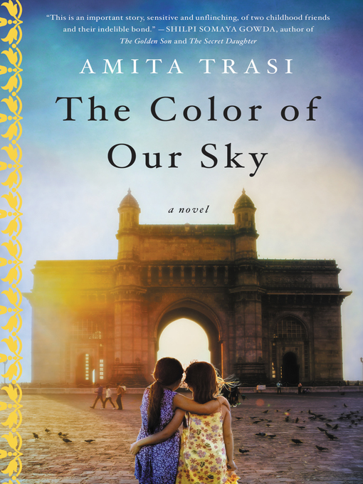 Cover of The Color of Our Sky